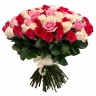 101 красно-бело-розовая роза 101 красно-бело-розовая роза